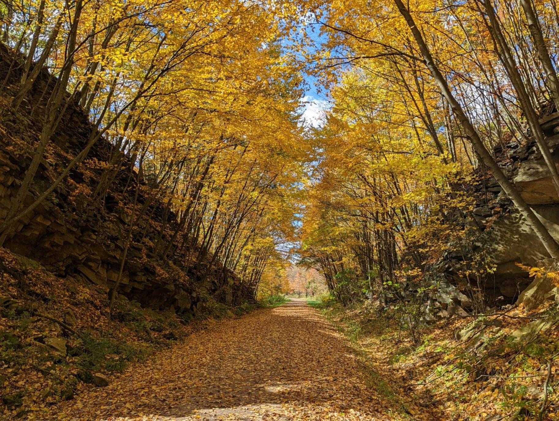 Stay In Ohiopyle Near Gap Trail, Restaurants, & The Fallls Bagian luar foto